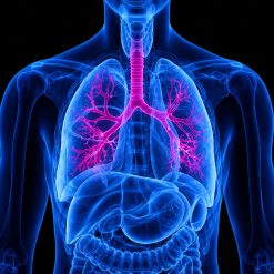Harvard Pulmonary and Critical Care Medicine 2022