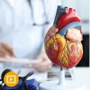 The Brigham Board Review and Comprehensive Update in Cardiology 2023 The Brigham Board Review and Comprehensive Update in Cardiology 2023