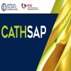 CathSAP 2024 – Updated July 2024 (Videos + Audios + Slides + Quiz) CathSAP 2024 – Updated July 2024 (Videos + Audios + Slides + Quiz)