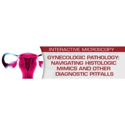 1630532700 6614027 gyn banner 600x600 png
