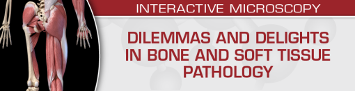 Dilemmas and Delights in Bone and Soft Tissue Pathology 2023 1674600438