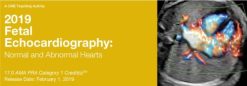 2019 Fetal Echocardiography Normal and Abnormal Hearts CME Videos
