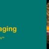 Noninvasive Vascular Imaging 2019 2019 Noninvasive Vascular Imaging