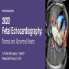 2020 Fetal Echocardiography Normal and Abnormal Hearts 2020 8