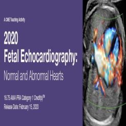 2020 8