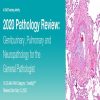 2020 pathology review genitourinary pulmonary and neuropathology for the general pathologist
