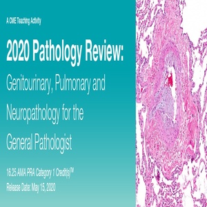 2020 Pathology Review Genitourinary, Pulmonary and Neuropathology for the General Pathologist 2020 pathology review genitourinary pulmonary and neuropathology for the general pathologist