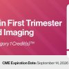 2023 Advances in First Trimester Ultrasound Imaging – DocmedED Videos