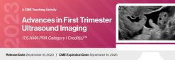 2023 Advances in First Trimester Ultrasound Imaging – DocmedED Videos