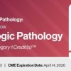 2023 Classic Lectures in Pathology: What You Need to Know: Gynecology Pathology 2023 Classic Lectures in Pathology What You Need to Know Gynecology