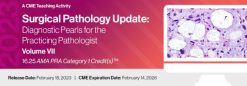 2023 Surgical Pathology Update Diagnostic Pearls for the Practicing Pathologist Vol VII