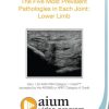 AIUM MSK Ultrasound: The Five Most Prevalent Pathologies in Each Joint: Lower Limb 271933 550x814 510x755 1