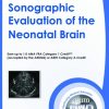 AIUM Sonographic Evaluation of the Neonatal Brain 60326 550x814 510x755 1