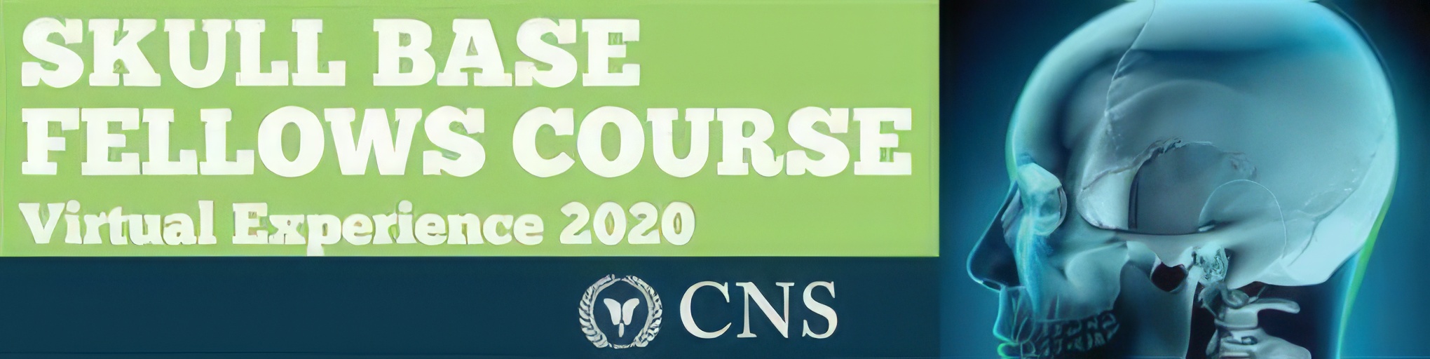 CNS Skull Base Fellows Course – Virtual Experience 2020 CNS Skull Base Fellows Course – Virtual Experience 2020