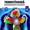 Coronary Artery Territories ( Echocardiography Illustrated ), 2nd edition (Original PDF from Publisher) Coronary Artery Territories ( Echocardiography Illustrated ), 2nd edition (Original PDF from Publisher)