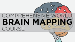 AANS Comprehensive World Brain Mapping Course 2020 Videos