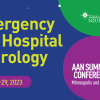 AAN Summer Conference 2023: Emergency & Hospital Neurology American Academy of Neurology Summer Conference Emergency and Hospital Neurology 2023