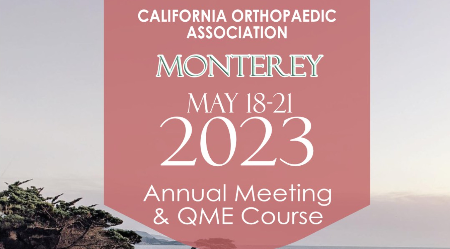 California Orthopaedic Association Annual Meeting 2023 California Orthopaedic Association Annual Meeting 2023
