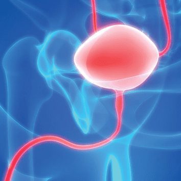 UCLA State-of-the-Art Urology 2021 UCLA State-of-the-Art Urology 2021