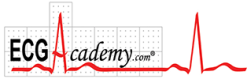 ECG ACADEMY 2020