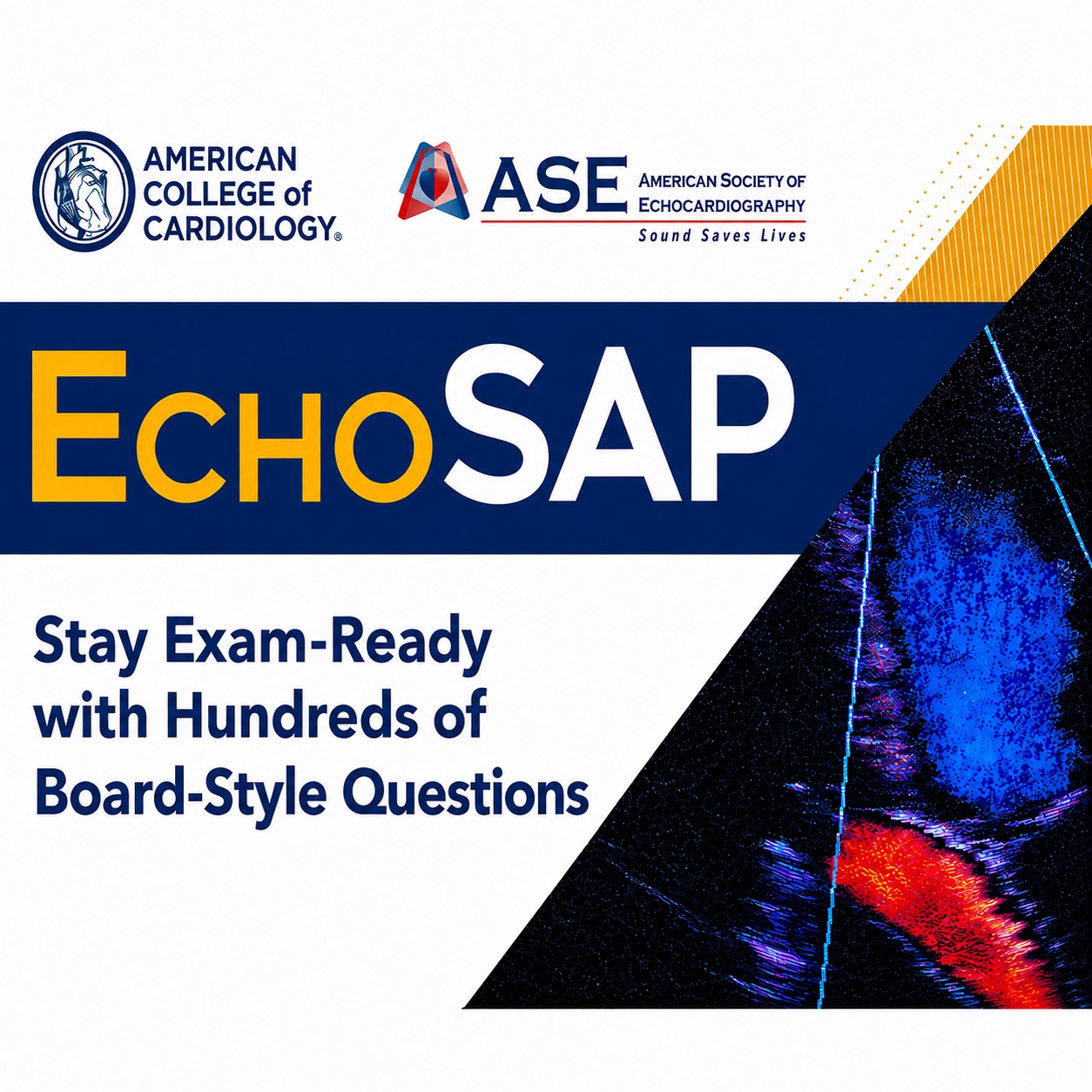 EchoSAP 2024 complete Video + PDF + Q&A EchoSAP 2024 complete Video + PDF + Q&A