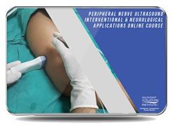 GCUS Peripheral Nerve Ultrasound Interventional Neurology Applications 2021 Gulfcoast Ultrasound Institute Videos Exam mode Quiz