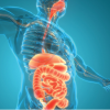 Gastroenterology and Hepatology Board Review 2023 Videos