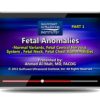Gulfcoast Fetal Anomalies Gulfcoast Fetal Anomalies