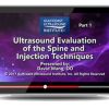Gulfcoast: Ultrasound Evaluation of the Spine & Injection Techniques Gulfcoast: Ultrasound Evaluation of the Spine & Injection Techniques