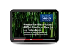 Gulfcoast Ultrasound and Electrodiagnosis EMG of Other Nerves About the Leg Foot and Ankle 2023