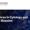 Harvard Advances In Cytology And Small Biopsies 2023 Harvard Advances In Cytology And Small Biopsies 2023