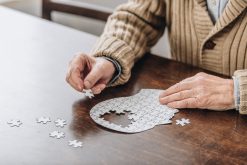 Harvard Dementia A Comprehensive Update 2024