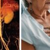 Harvard Diabetes Comorbidities And Complications 2024 (Videos With Captions + Slides) Harvard Diabetes Comorbidities And Complications 2024