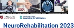 Harvard NeuroRehabilitation 2023 CME VIDEOS