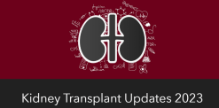 Kidney Transplant Updates 2023 Videos