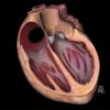 MRI Online Mastery Series: Fundamentals of Cardiac MRI 2021 MRI Online Mastery Series Fundamentals of Cardiac MRI 2021