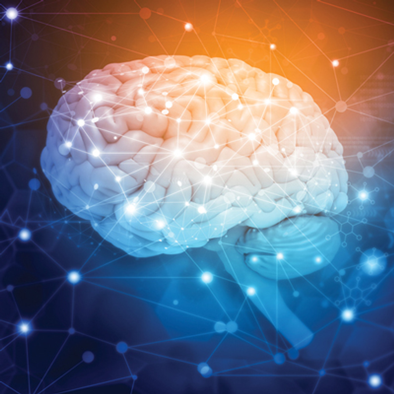 Psychopharmacology for Primary Care Physicians 2024 Oakstone Psychopharmacology for Primary Care Physicians 2024