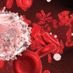 The Brigham and Dana-Farber Board Review and Comprehensive Update in Hematology and Oncology 2022