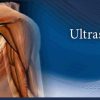 Pegasus Complete MSK Ultrasound eCourse pack 2022 Pegasus Complete MSK Ultrasound eCourse pack 2022