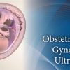 Pegasus Lectures Complete OB/GYN Review Ultrasound Video Course Pegasus Lectures Complete OB/GYN Review Ultrasound Video Course