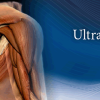 Pegasus Musculoskeletal Ultrasound eCourse 2023 Videos