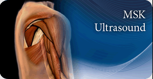 Pegasus Musculoskeletal Ultrasound eCourse 2023 Pegasus Musculoskeletal Ultrasound eCourse 2023 Videos