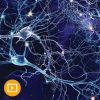 Samuels Comprehensive Review of Neurology 2024