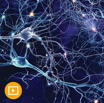 Samuels Comprehensive Review of Neurology 2024 Samuels Comprehensive Review of Neurology 2024
