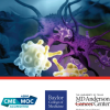The 2024 MD Anderson Cancer Center/Baylor College of Medicine Hematology and Medical Oncology Board Review Materials The 2024 MD Anderson Cancer Center/Baylor College of Medicine Hematology and Medical Oncology Board Review Materials