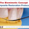 The Biomimetic Concept: Composite Restoration Protocols The Biomimetic Concept: Composite Restoration Protocols