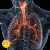 The Brigham Board Review And Comprehensive Update In Pulmonary Medicine 2022 The Brigham Board Review And Comprehensive Update In Pulmonary Medicine 2022