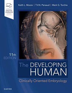 The Developing Human Clinically Oriented Embryology 11th Edition Original PDF from Publisher
