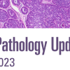 MD Anderson Cancer Center Diagnostic Pathology Updates Conference 2023 MD Anderson Cancer Center Diagnostic Pathology Updates Conference 2023