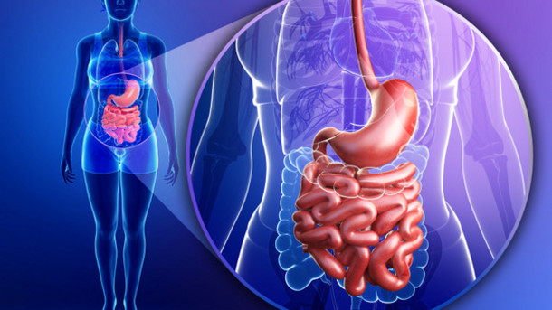 UChicago Medicine 8th Annual Updates in Digestive Diseases 2023 UChicago Medicine 8th Annual Updates in Digestive Diseases 2023